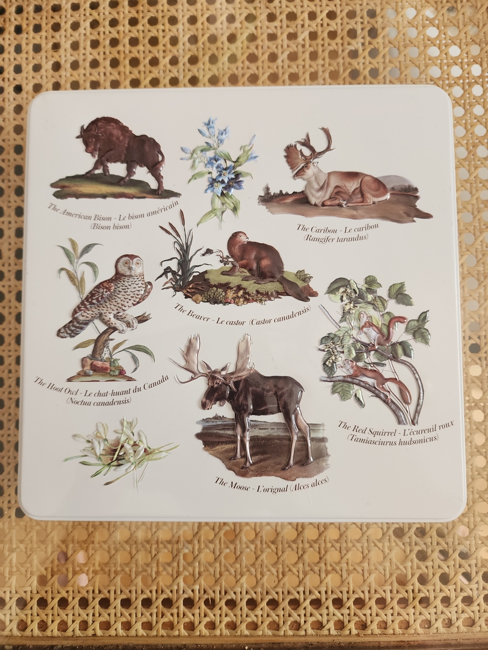 Hudson's Bay Company Metal Tin Wildlife 3D Embossed 9"X9"